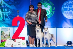 Sindi Klubowa Nordyckich Poznań 8.11.2024